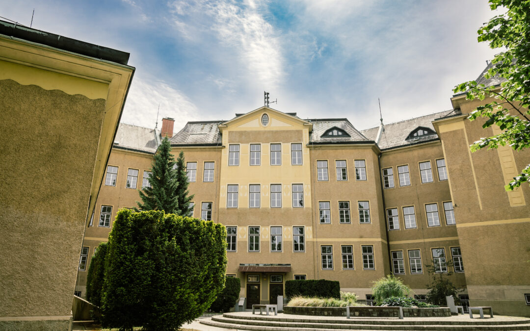 Stavba šole